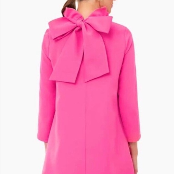 Tuckernuck Pink Ruffle Neck Dress - Picture 3 of 6